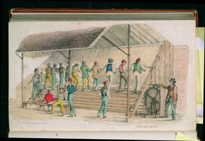 Bieżnia, ze „Świata w miniaturze” Ackermanna, wyd. 1827